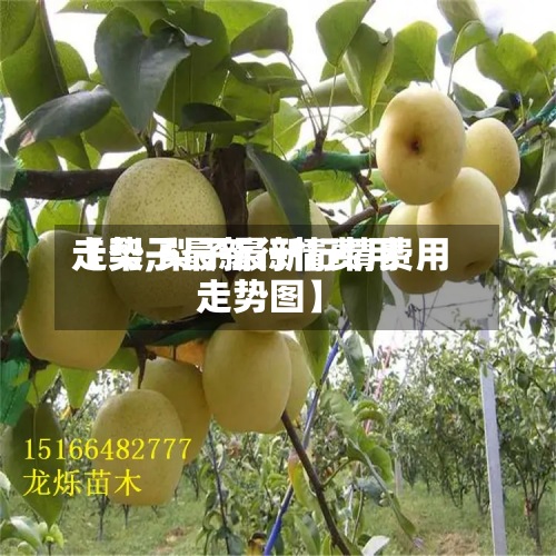 【梨子最新行情费用走势,梨子最新行情费用走势图】