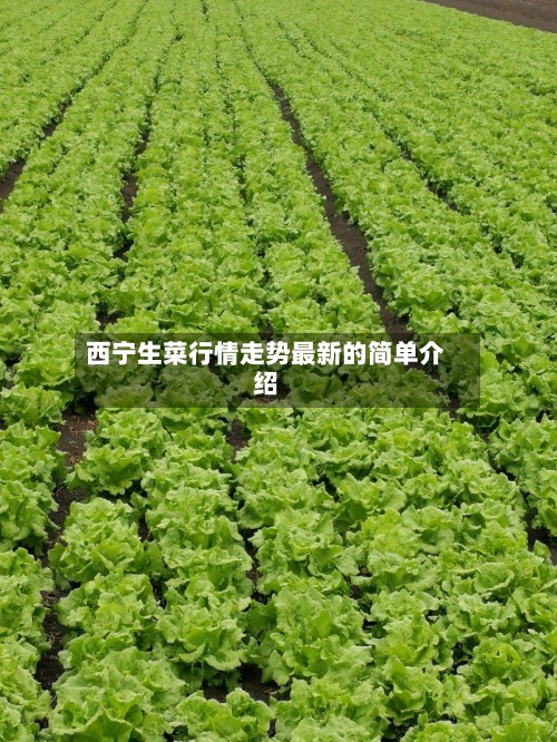 西宁生菜行情走势最新的简单介绍