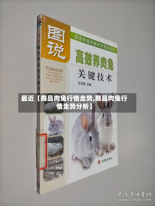 最近【商品肉兔行情走势,商品肉兔行情走势分析】-第2张图片