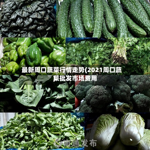 最新周口蔬菜行情走势(2021周口蔬菜批发市场费用
)