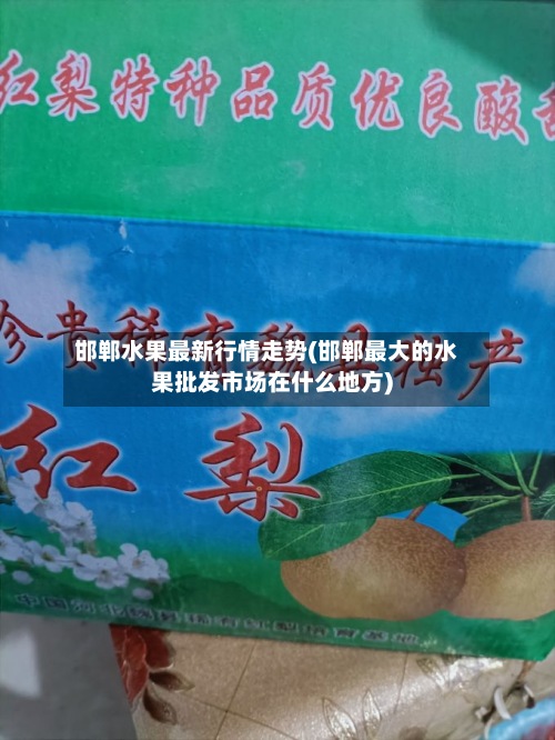 邯郸水果最新行情走势(邯郸最大的水果批发市场在什么地方)-第2张图片