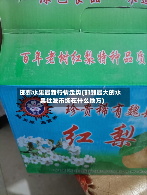 邯郸水果最新行情走势(邯郸最大的水果批发市场在什么地方)