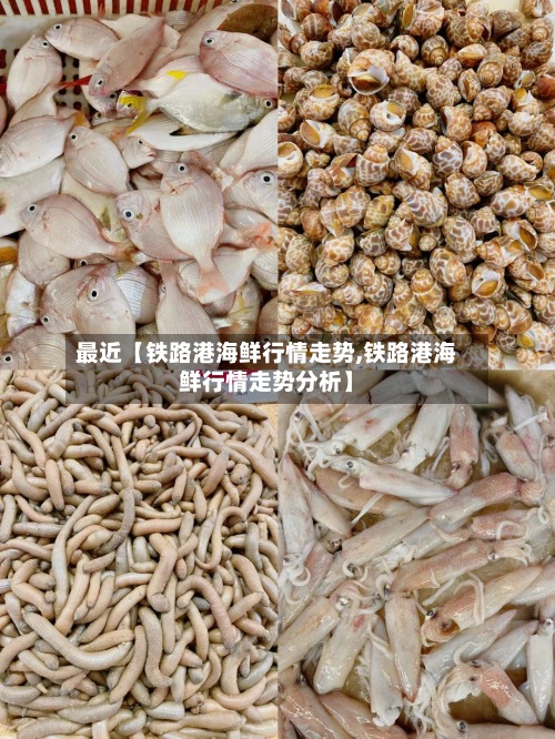 最近【铁路港海鲜行情走势,铁路港海鲜行情走势分析】-第2张图片