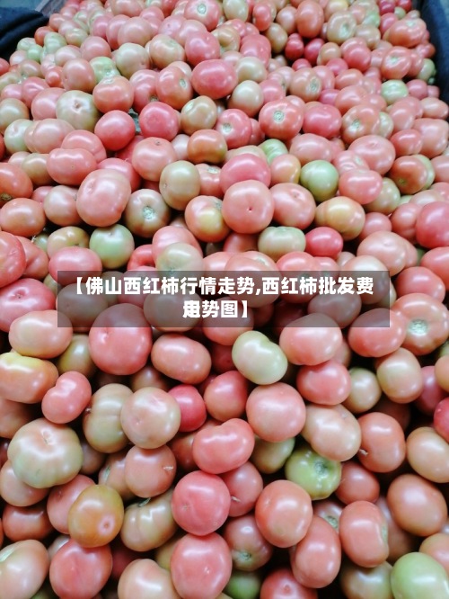 【佛山西红柿行情走势,西红柿批发费用走势图】-第2张图片