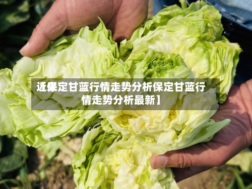 近来【保定甘蓝行情走势分析保定甘蓝行情走势分析最新】-第2张图片