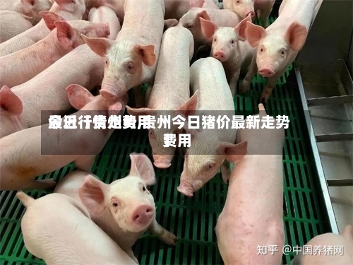 最近【贵州费用今日行情走势,贵州今日猪价最新走势费用】