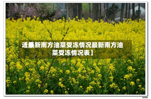 近来
【最新南方油菜受冻情况最新南方油菜受冻情况表】