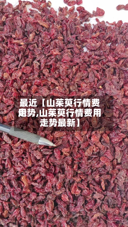 最近【山茱萸行情费用走势,山茱萸行情费用走势最新】-第3张图片