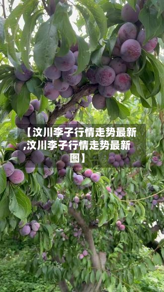 【汶川李子行情走势最新,汶川李子行情走势最新图】-第2张图片