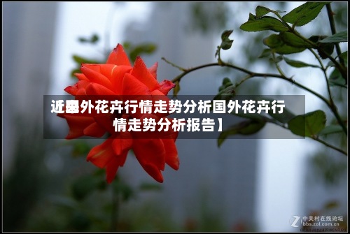 近来【国外花卉行情走势分析国外花卉行情走势分析报告】