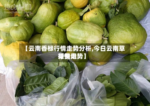 【云南香橼行情走势分析,今日云南草果费用行情走势】-第2张图片