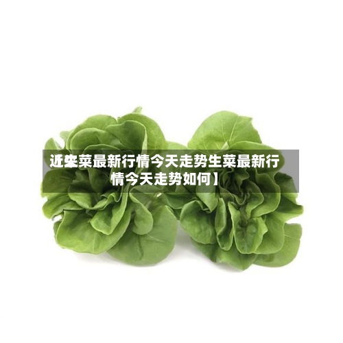 近来【生菜最新行情今天走势生菜最新行情今天走势如何】