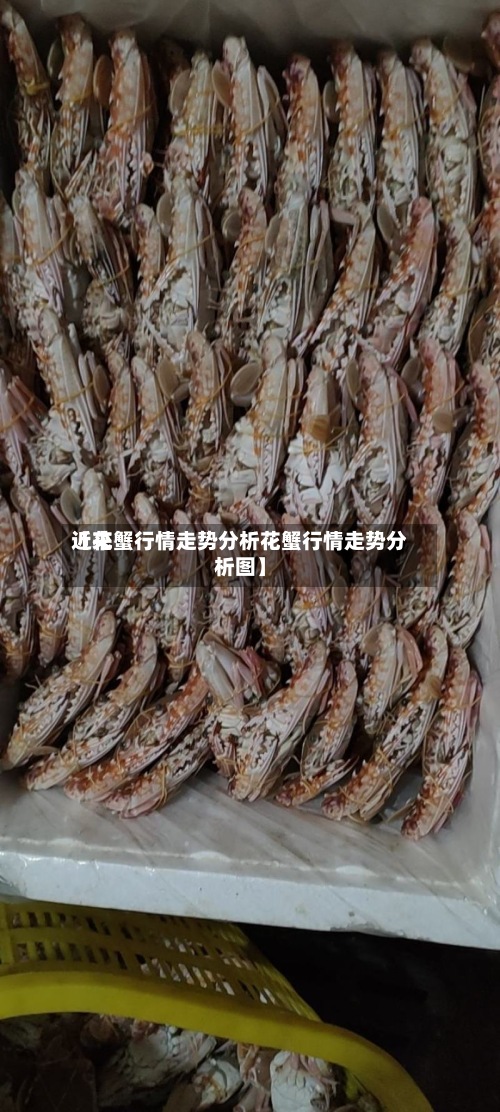 近来【花蟹行情走势分析花蟹行情走势分析图】