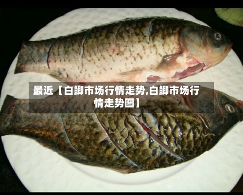 最近【白鲫市场行情走势,白鲫市场行情走势图】