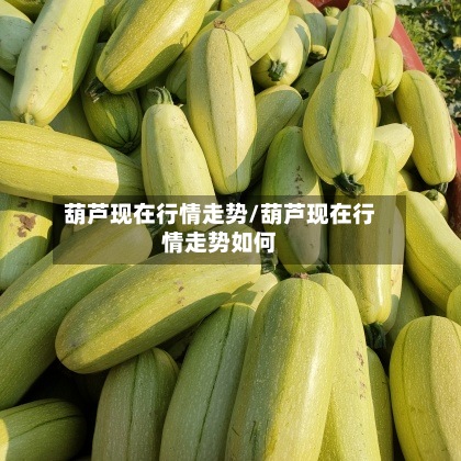 葫芦现在行情走势/葫芦现在行情走势如何
