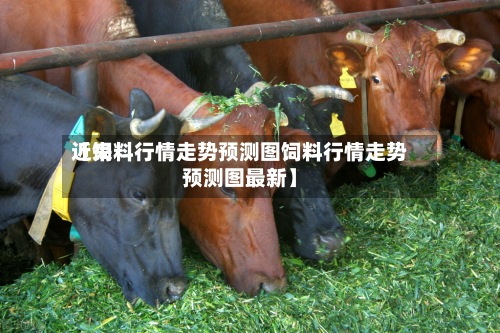 近来
【饲料行情走势预测图饲料行情走势预测图最新】