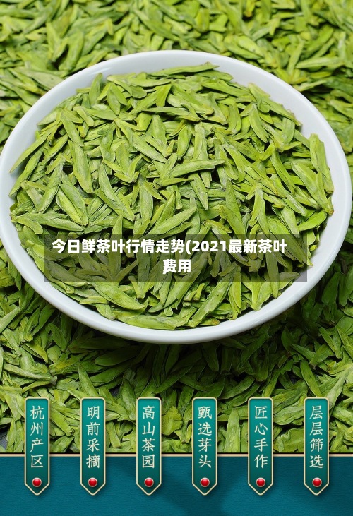 今日鲜茶叶行情走势(2021最新茶叶费用
)