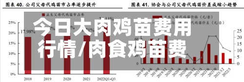 今日大肉鸡苗费用行情/肉食鸡苗费用行情山东省-第2张图片