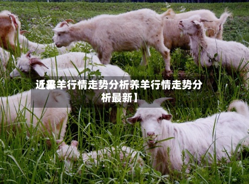 近来【养羊行情走势分析养羊行情走势分析最新】-第2张图片