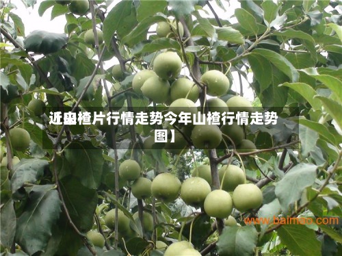近来【山楂片行情走势今年山楂行情走势图】-第2张图片
