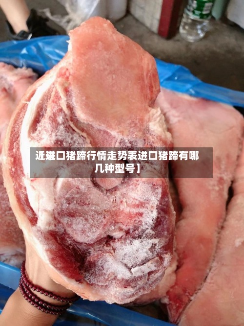 近来【进口猪蹄行情走势表进口猪蹄有哪几种型号】-第2张图片