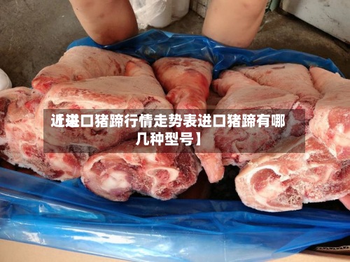 近来【进口猪蹄行情走势表进口猪蹄有哪几种型号】