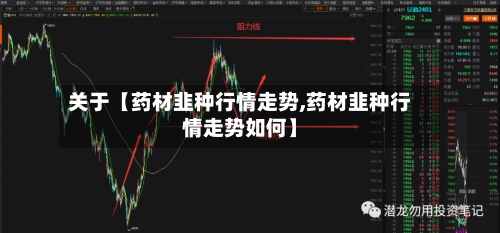 关于【药材韭种行情走势,药材韭种行情走势如何】