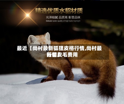 最近【尚村最新狐狸皮格行情,尚村最新貂皮毛费用行情】