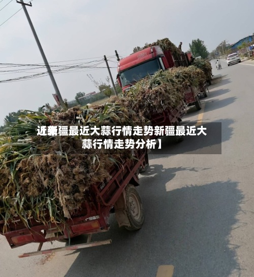 近来【新疆最近大蒜行情走势新疆最近大蒜行情走势分析】-第2张图片