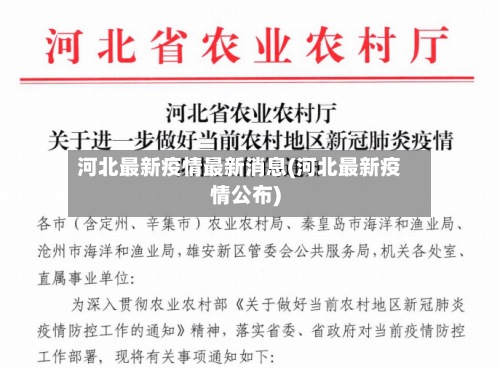 河北最新疫情最新消息(河北最新疫情公布)-第2张图片