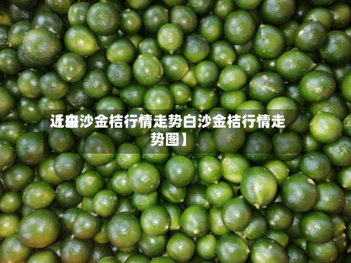 近来
【白沙金桔行情走势白沙金桔行情走势图】-第3张图片