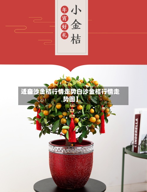近来
【白沙金桔行情走势白沙金桔行情走势图】-第2张图片