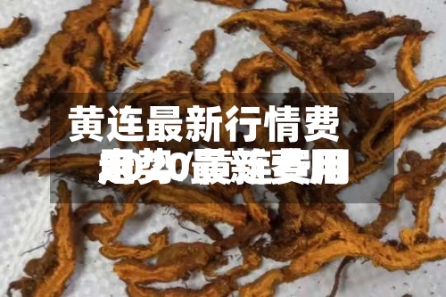 黄连最新行情费用走势/黄连费用2020最新费用-第3张图片