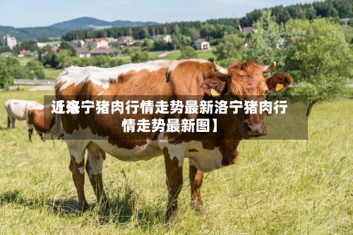近来【洛宁猪肉行情走势最新洛宁猪肉行情走势最新图】-第3张图片