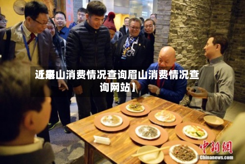 近来【眉山消费情况查询眉山消费情况查询网站】
