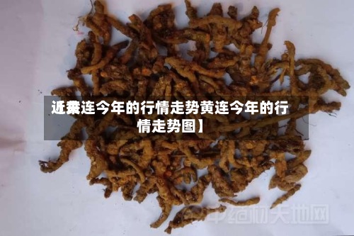 近来【黄连今年的行情走势黄连今年的行情走势图】-第2张图片