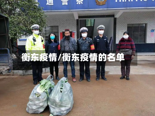 衡东疫情/衡东疫情的名单-第2张图片