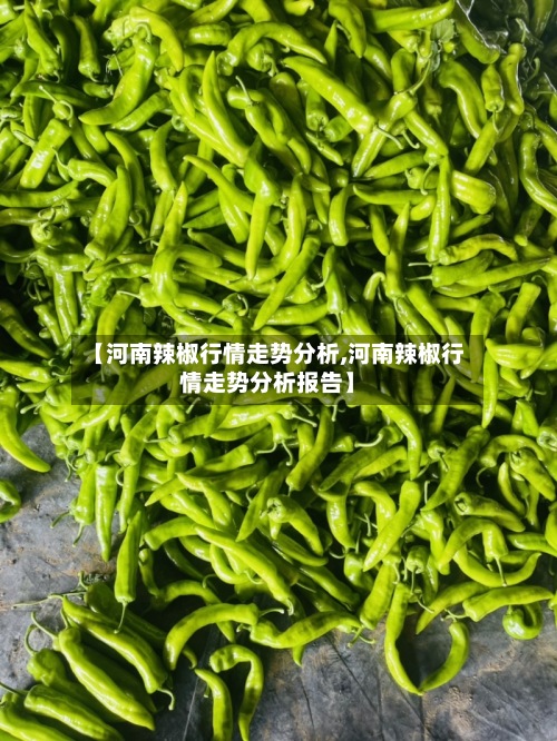【河南辣椒行情走势分析,河南辣椒行情走势分析报告】-第2张图片
