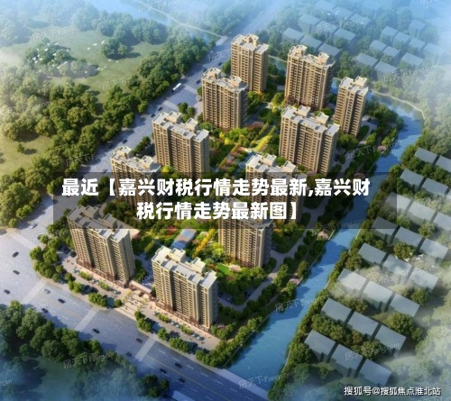 最近【嘉兴财税行情走势最新,嘉兴财税行情走势最新图】-第3张图片