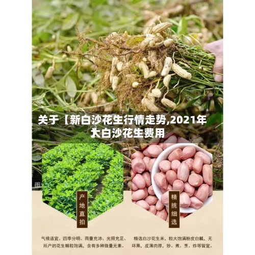 关于【新白沙花生行情走势,2021年大白沙花生费用】-第2张图片