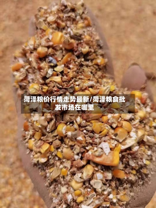 菏泽粮价行情走势最新/菏泽粮食批发市场在哪里-第2张图片