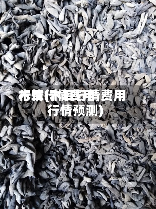 木耳行情费用行情(木耳行情费用行情预测)-第2张图片