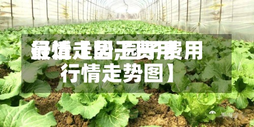 最近【园子费用行情走势,园子费用行情走势图】-第3张图片