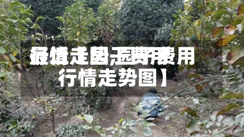 最近【园子费用行情走势,园子费用行情走势图】-第2张图片