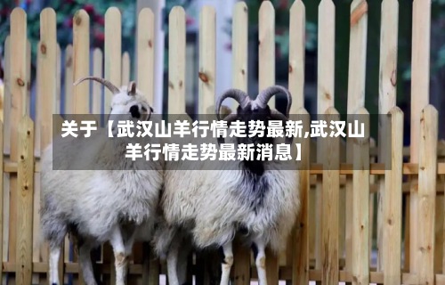 关于【武汉山羊行情走势最新,武汉山羊行情走势最新消息】-第2张图片