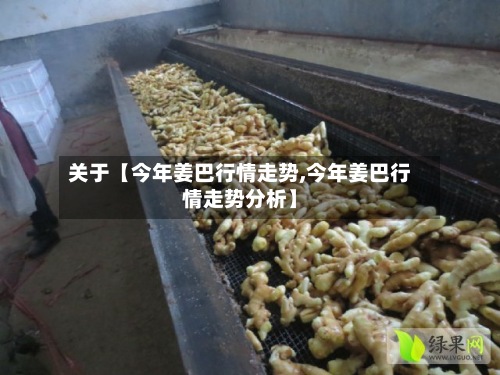 关于【今年姜巴行情走势,今年姜巴行情走势分析】