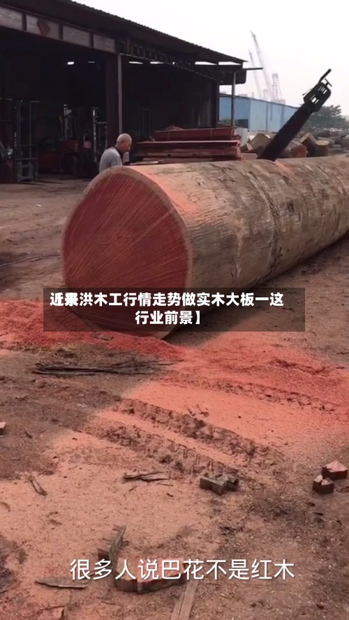 近来【景洪木工行情走势做实木大板一这行业前景】