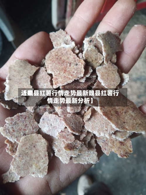 近来【魏县红薯行情走势最新魏县红薯行情走势最新分析】-第2张图片