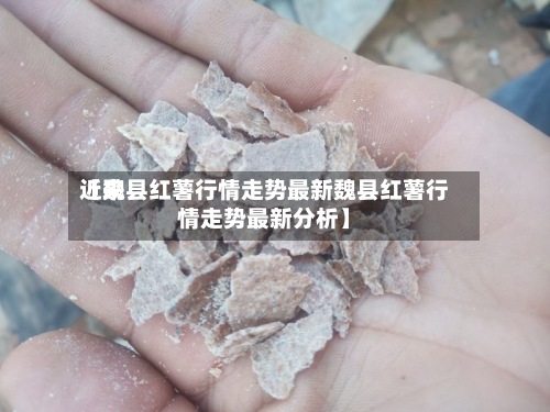 近来【魏县红薯行情走势最新魏县红薯行情走势最新分析】
