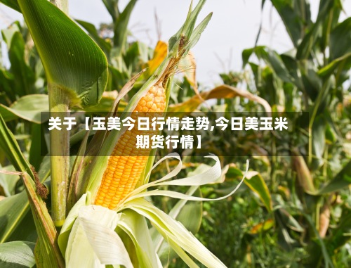 关于【玉美今日行情走势,今日美玉米期货行情】-第2张图片